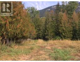 4856 32 Street, Canyon, BC V0B1C1 Photo 24