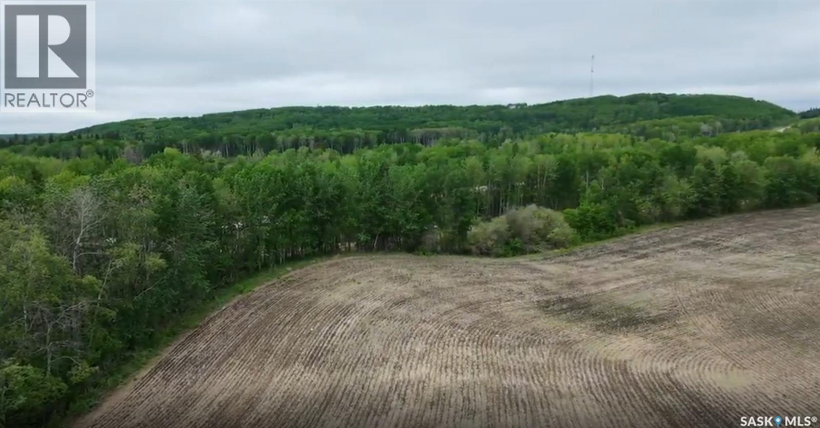 9.97 Acres Near Greenwater Prov Park - photo 4