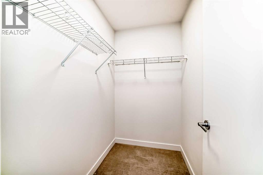 #311 857 Belmont Drive SW - 29
