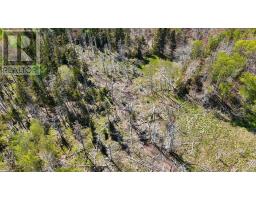 7004 Marble Mountain Road, Malagawatch, NS B0E2Y0 Photo 16