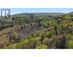 7004 Marble Mountain Road, Malagawatch, NS B0E2Y0 Photo 17