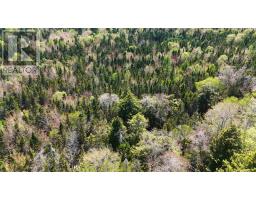 7004 Marble Mountain Road, Malagawatch, NS B0E2Y0 Photo 26
