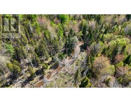 7004 Marble Mountain Road, Malagawatch, NS B0E2Y0 Photo 28