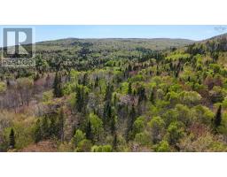 7004 Marble Mountain Road, Malagawatch, NS B0E2Y0 Photo 29