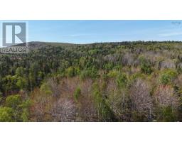 7004 Marble Mountain Road, Malagawatch, NS B0E2Y0 Photo 7