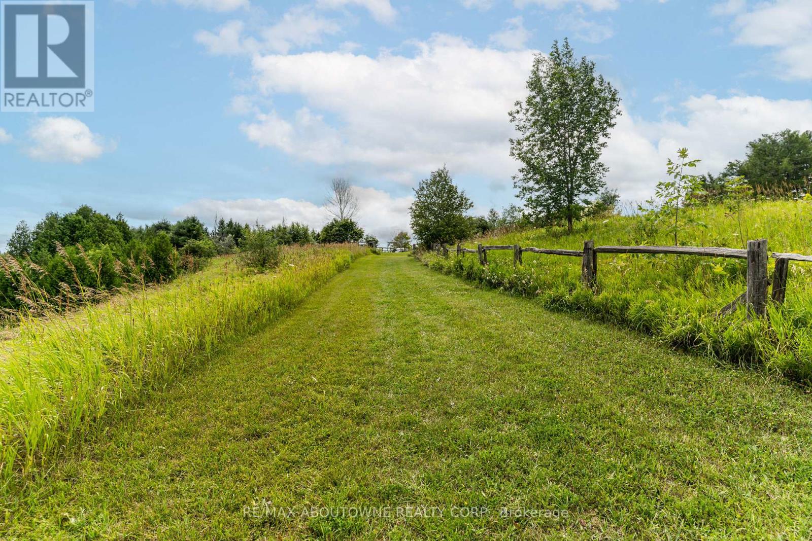 674217 HURONTARIO STREET - 35