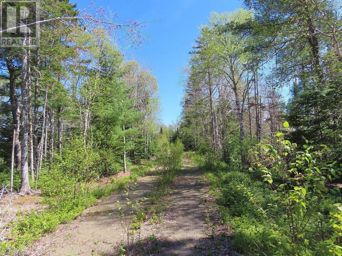 Property 17 of 33 of Lot 38 Redbird Drive