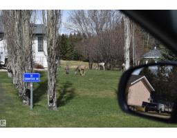 133 Bruhn Bv Nw, Rural Ponoka County, AB T0C2J0 Photo 15