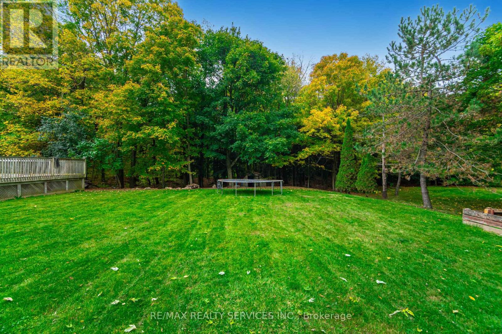 14 SNOWBERRY COURT - 48