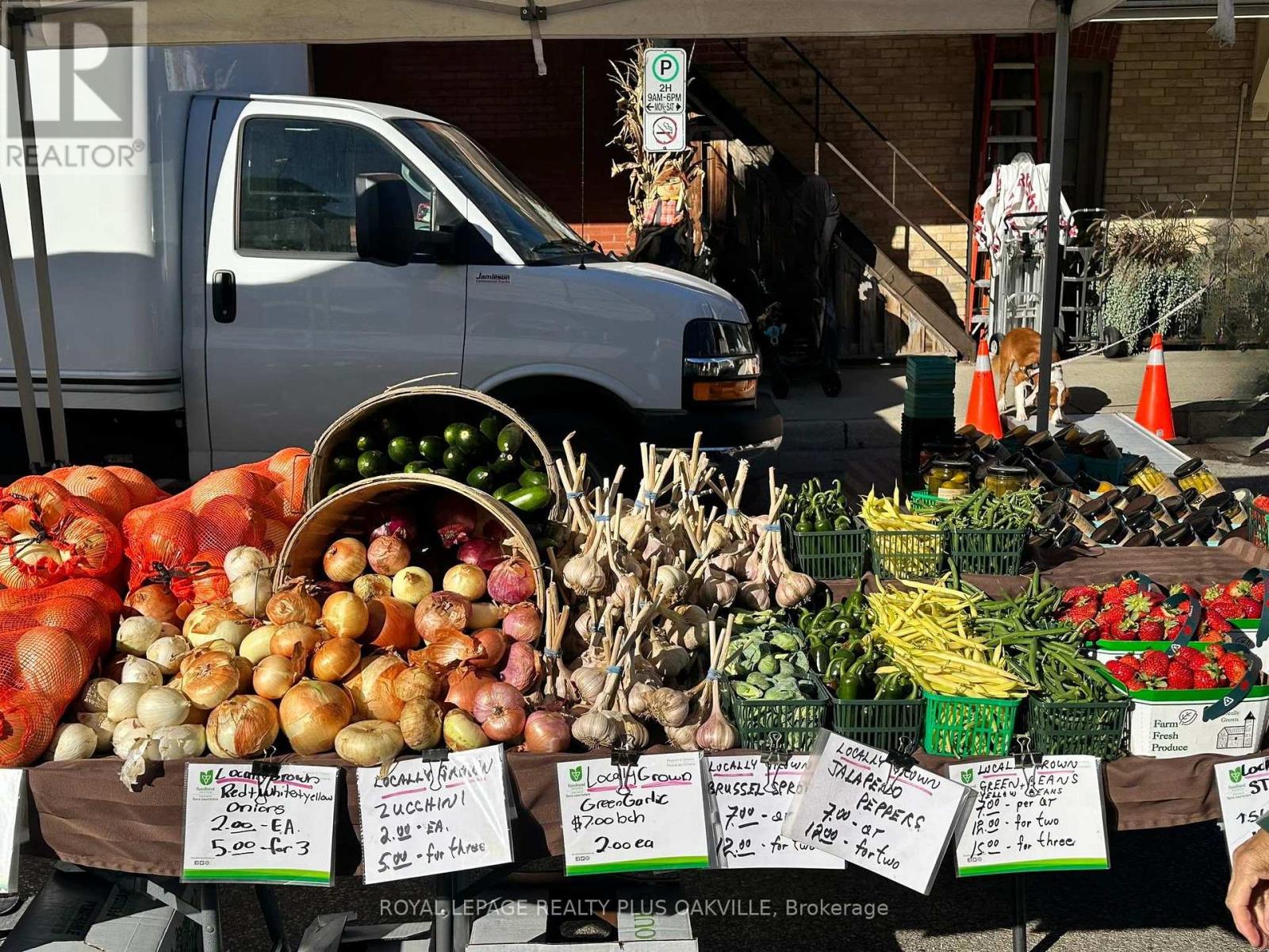 Thumbnail 28