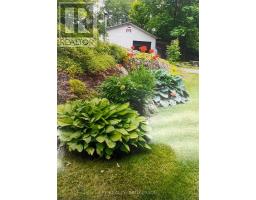 1023 Moon Road, Frontenac, ON K0H1T0 Photo 37