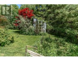 331 Drewery Street, Brighton, ON K0K1H0 Photo 37