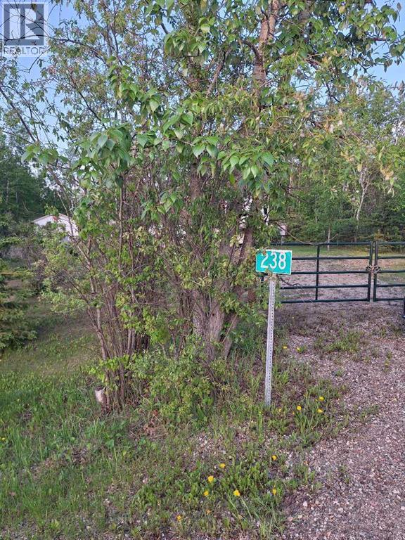 238, 11120 Twp Rd 632A — photo 38