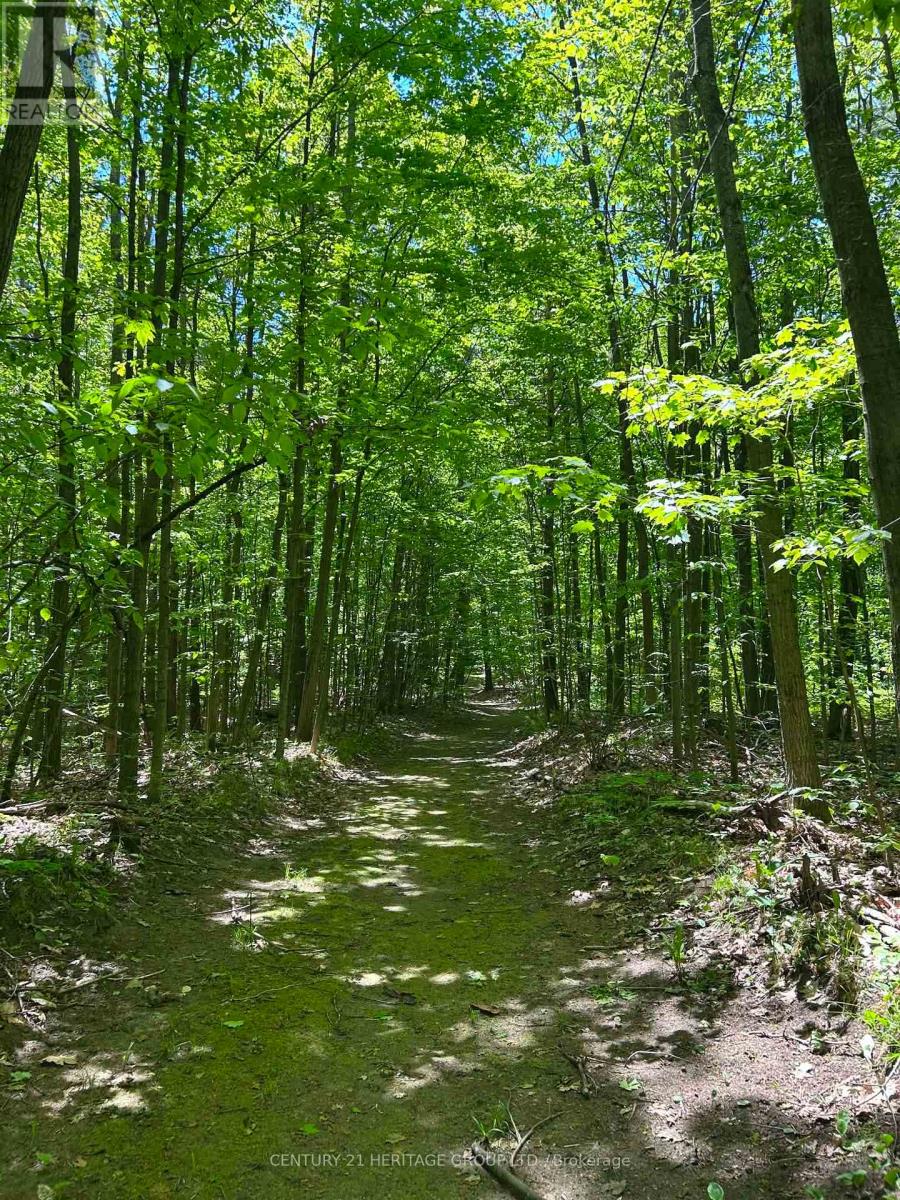 4074 ST. JOHN'S SIDE ROAD - 48