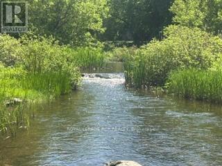 1552 QUEEN STREET - 36