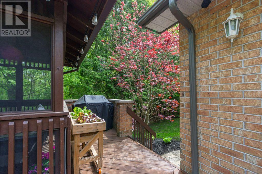 256 COLONIAL DRIVE - 38
