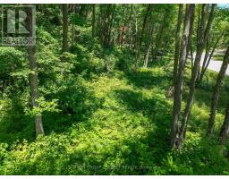 10096 Pinery Bluffs Rd, Lot 3 Road, Lambton Shores, ON N0M1T0 Photo 13