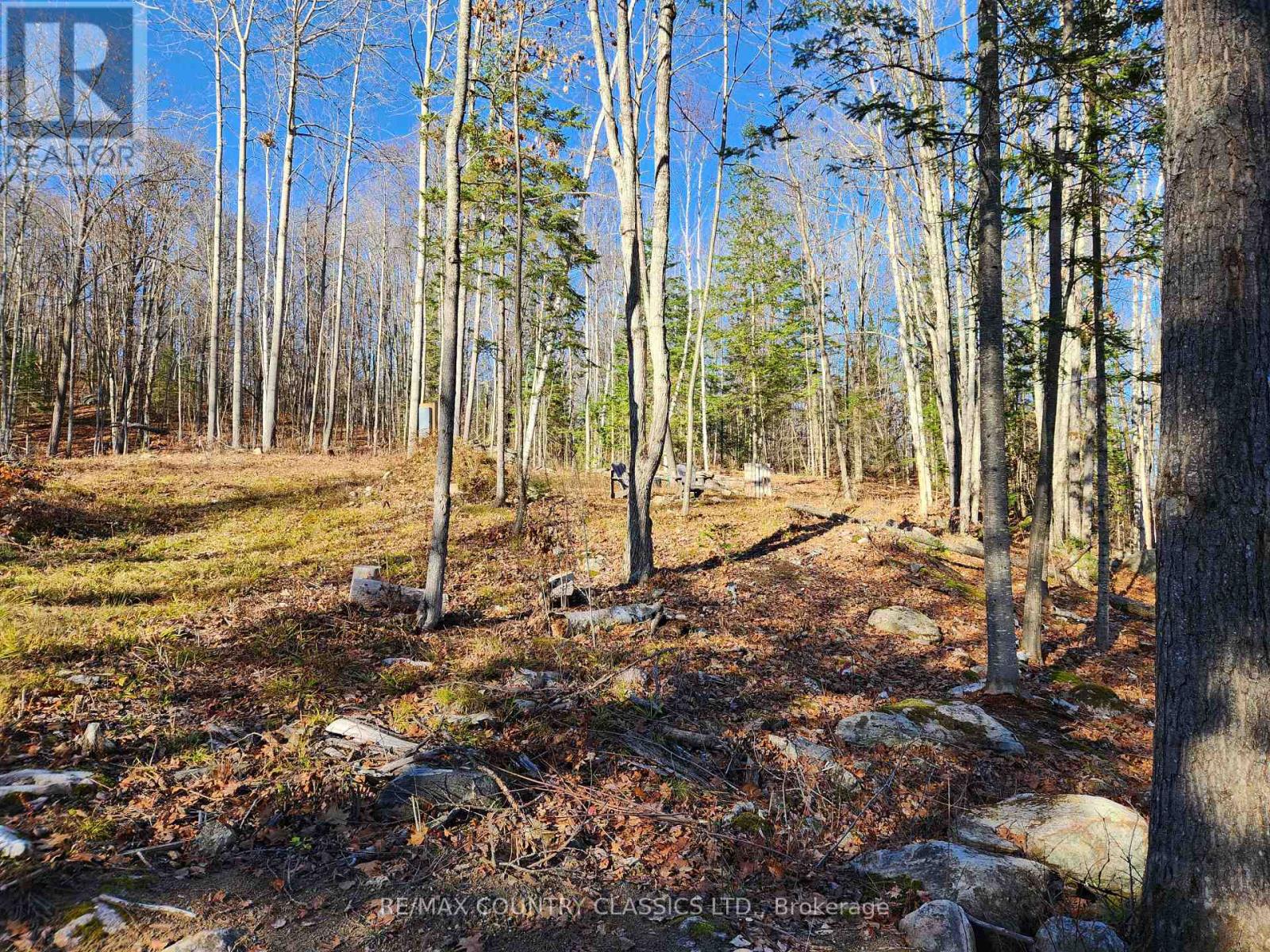 790 MITCHELL ROAD, Madawaska Valley — photo 2