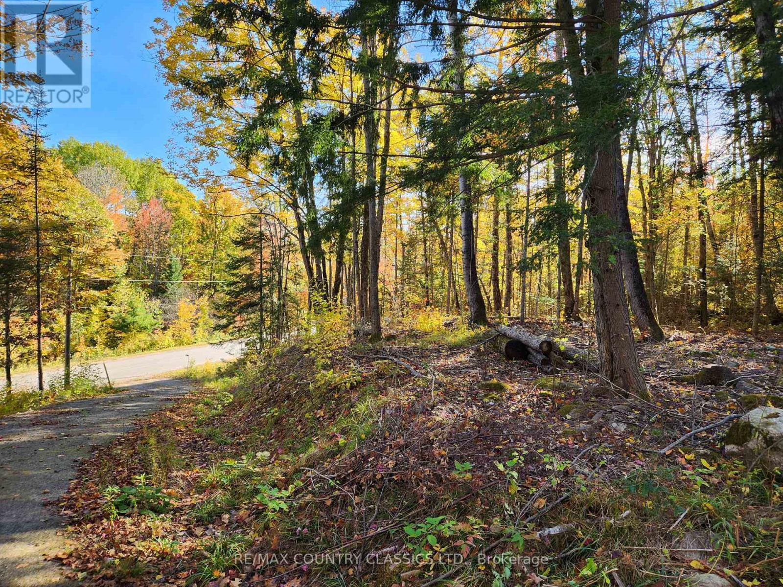 790 MITCHELL ROAD, Madawaska Valley — photo 3
