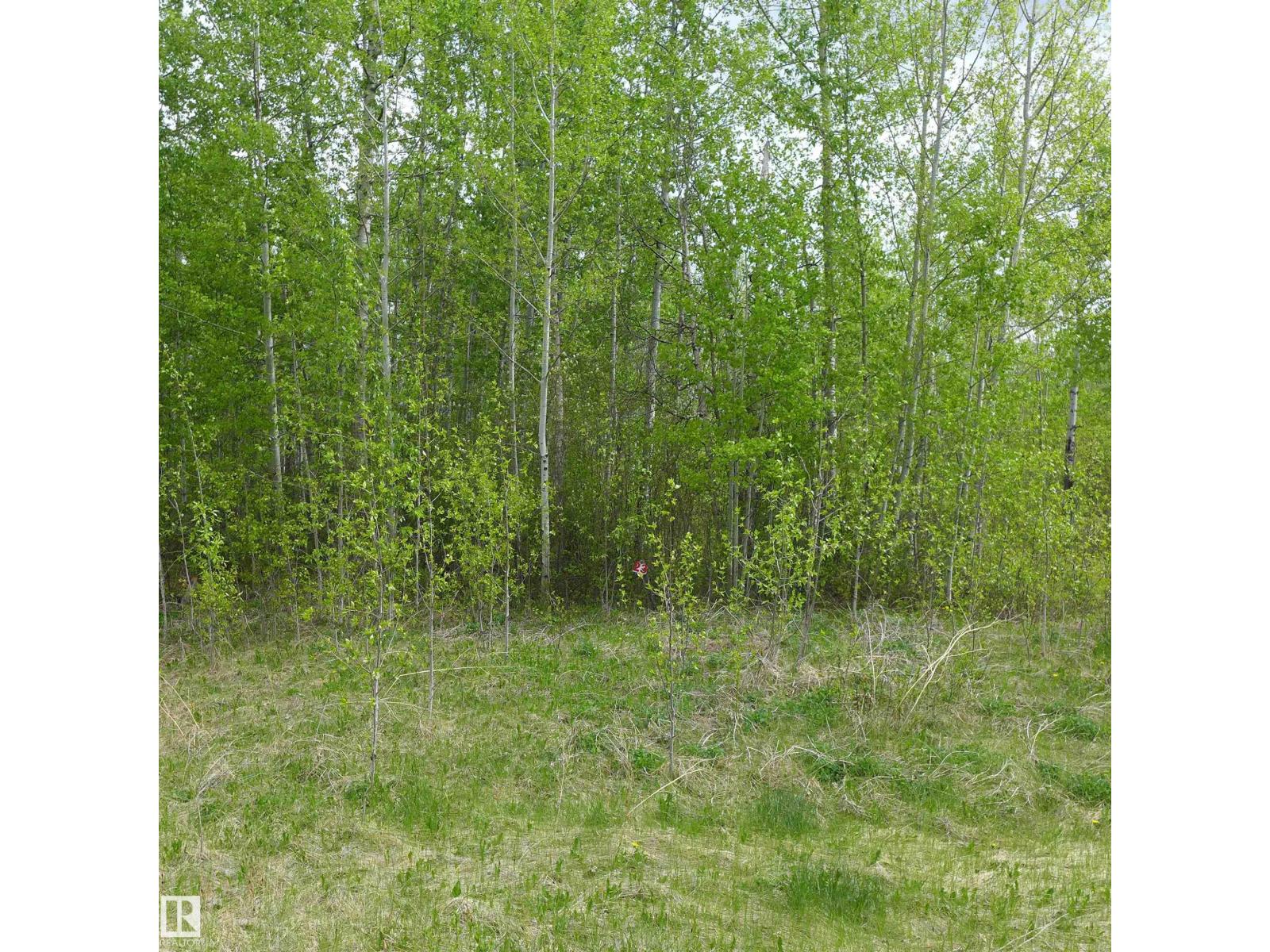 23 11032 - Hwy 13 - photo 2