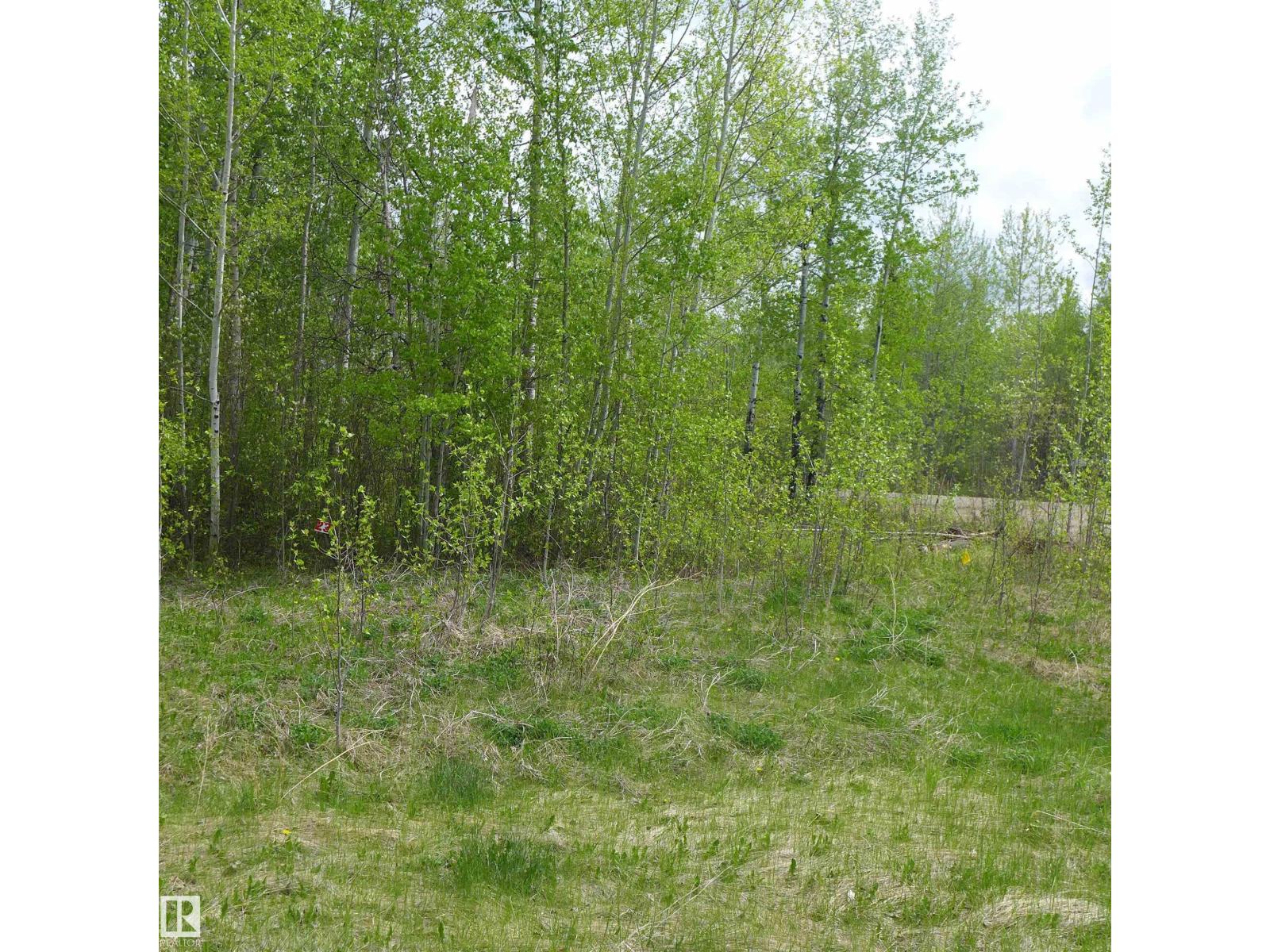 23 11032 - Hwy 13 - photo 3