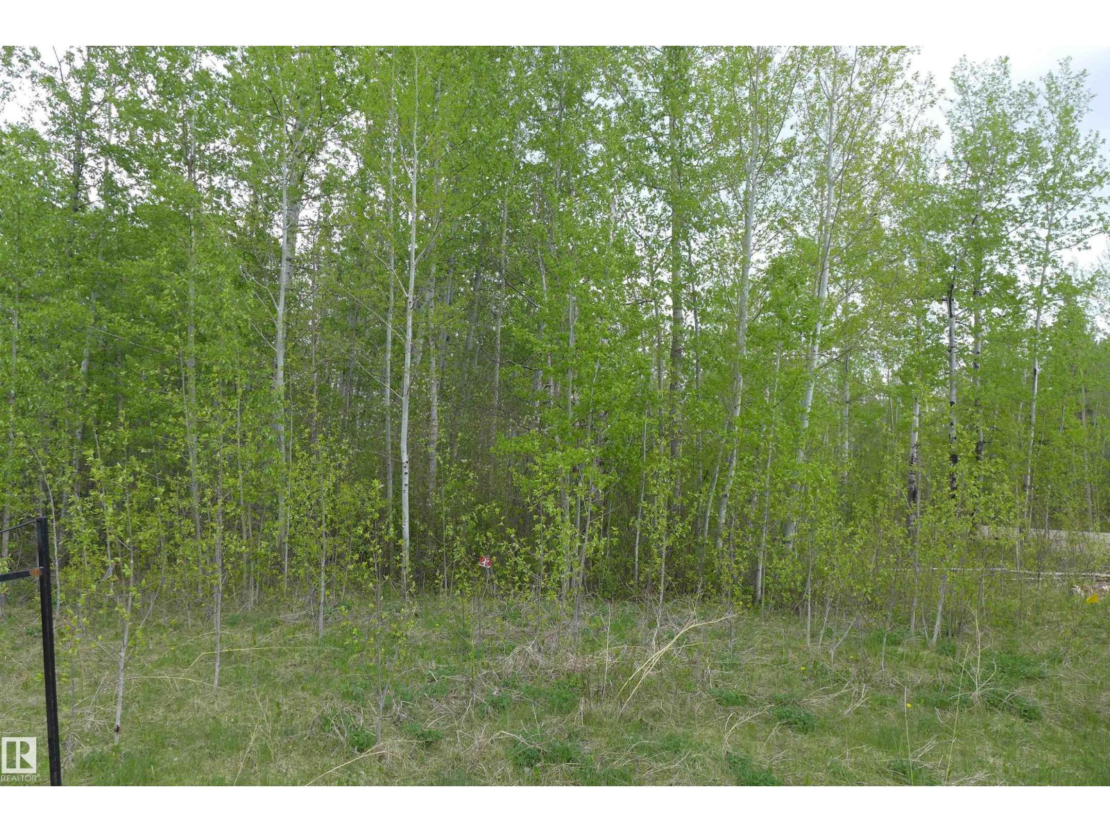 23 11032 - Hwy 13 - photo 4