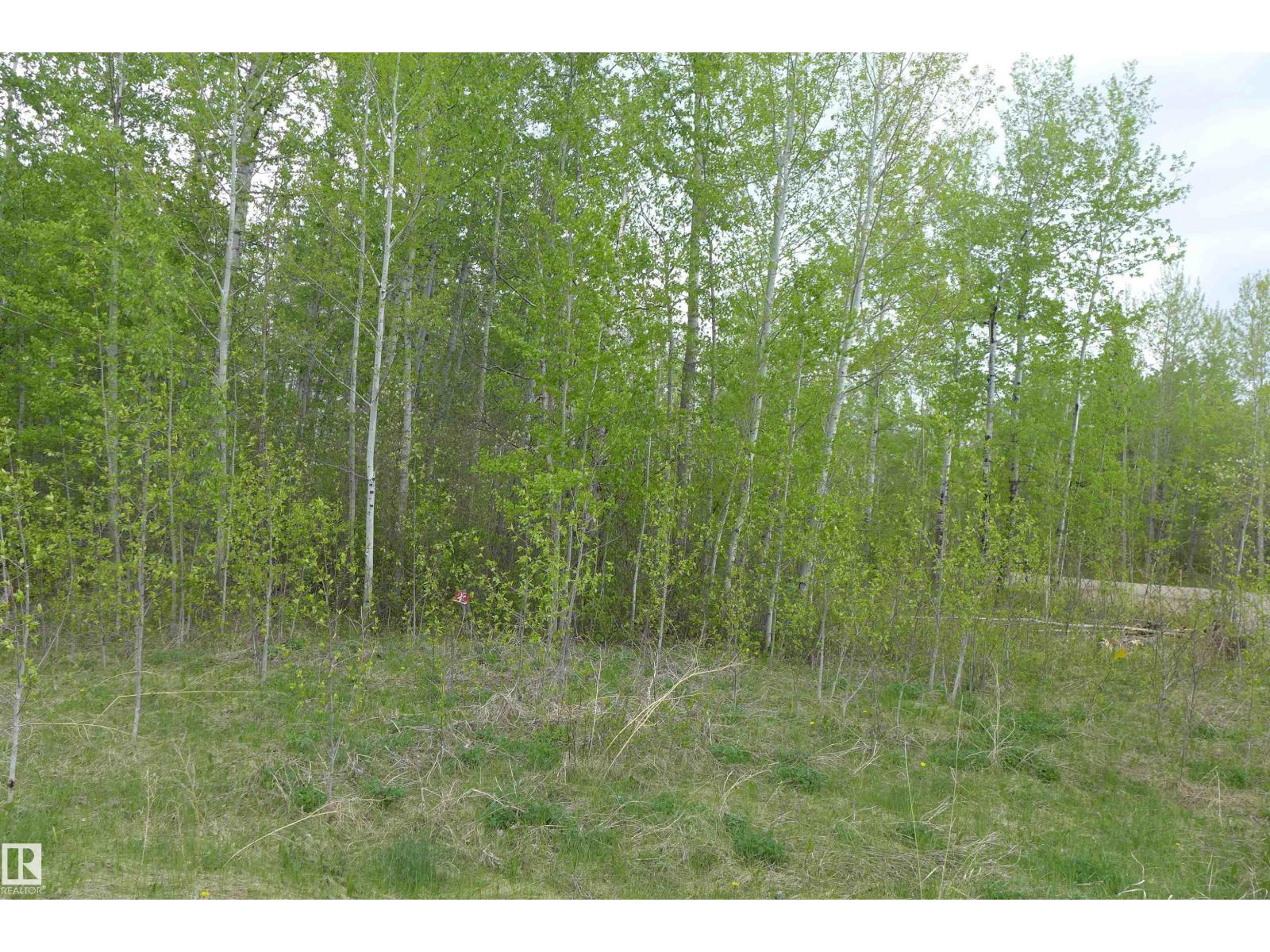 23 11032 - Hwy 13 - photo 5