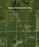 100072 92w Road, Eden, MB R0J0M0 Photo 12