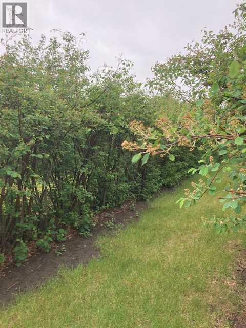 Berry orchard