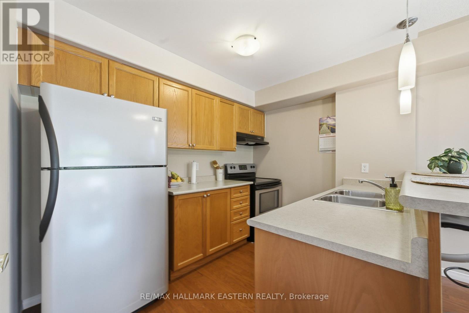 #101 300 SPILLSBURY DRIVE - 10