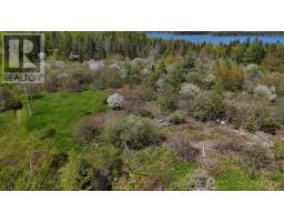 124 Stoney Point Rd, Orangedale, NS B0E2M0 Photo 12