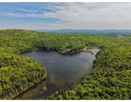 15 Mtée De La Sucrerie, Bouchette, QC J0X1E0 Photo 41