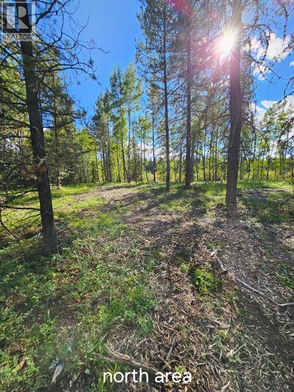Pine Ridge Drive - photo 2
