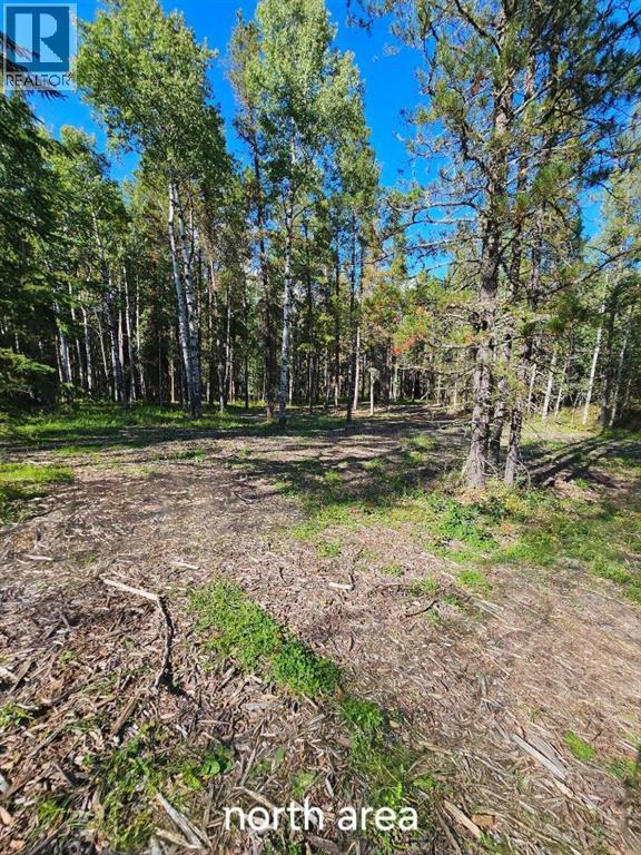Pine Ridge Drive - photo 3