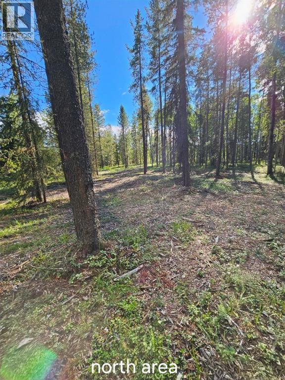 Pine Ridge Drive - photo 4