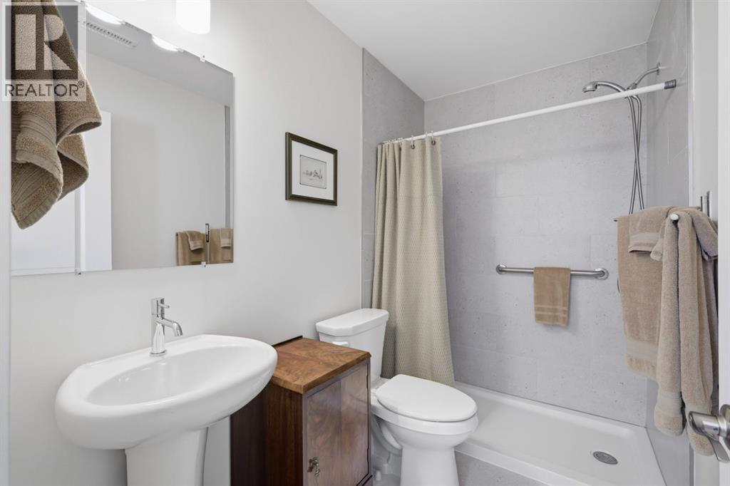 Basement Bathroom