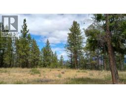 640 Highway 3 Unit# 1, Princeton, BC V0X1W0 Photo 7