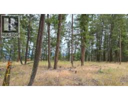 640 Highway 3 Unit# 1, Princeton, BC V0X1W0 Photo 13