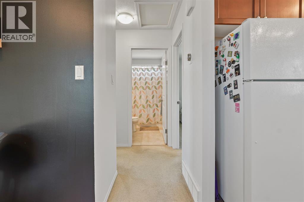708 Mt Sundance Lane W — photo 10
