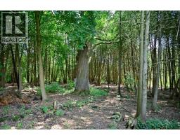 36 Tallwood Drive, West Montrose, ON N0B2V0 Photo 49