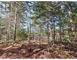 Lot5 Lower River Road, Grantville, NS B0E1J0 Photo 10