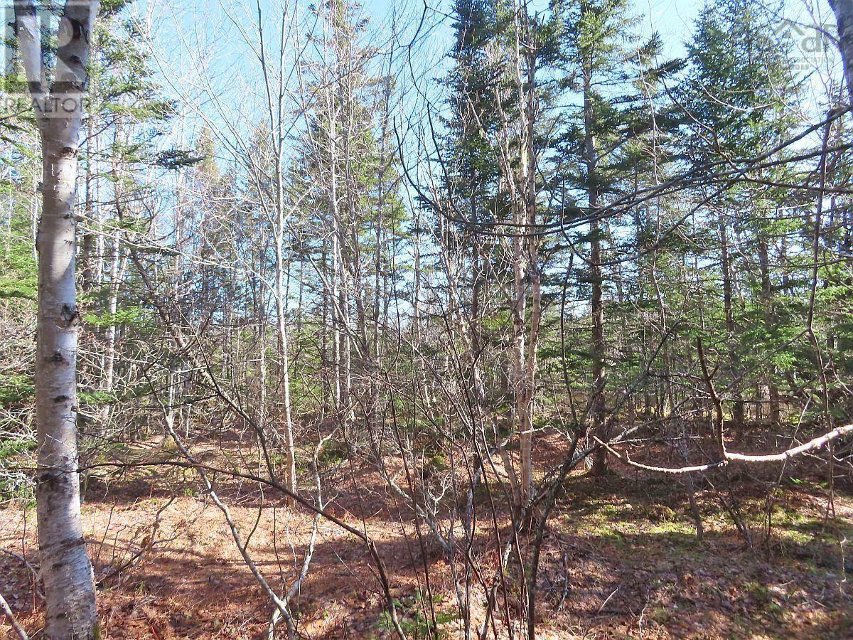 Property 8 of 34 of Lot5 Lower River Road