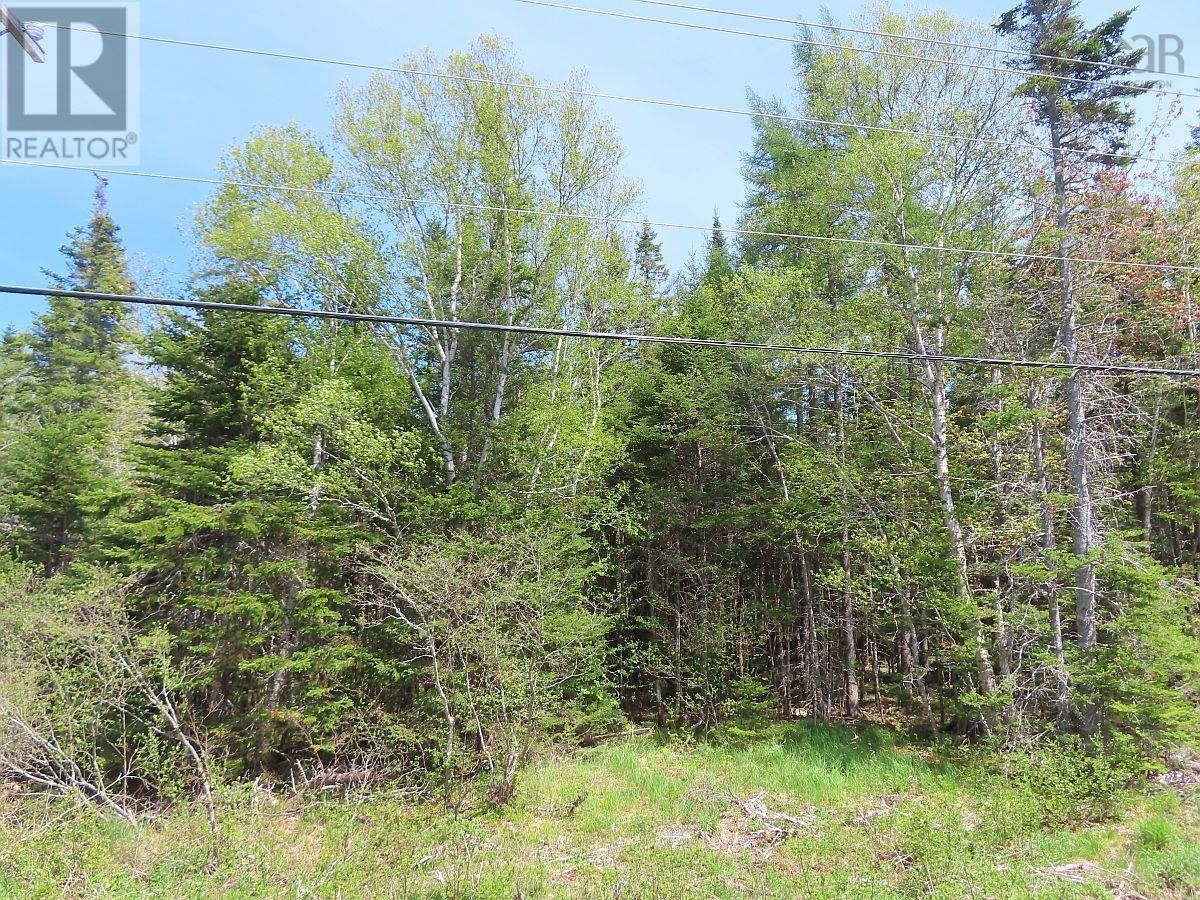 Property 13 of 34 of Lot5 Lower River Road