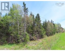 Lot5 Lower River Road, Grantville, NS B0E1J0 Photo 6