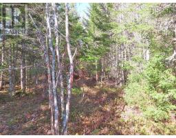 Lot5 Lower River Road, Grantville, NS B0E1J0 Photo 18