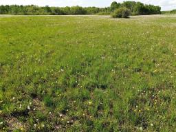 0 Sw 14 & Se 15-23-13w Road, Ste Rose Du Lac, MB R0L0S0 Photo 35