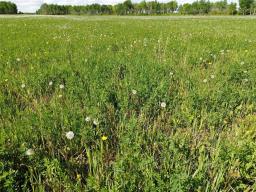 0 Sw 14 & Se 15-23-13w Road, Ste Rose Du Lac, MB R0L0S0 Photo 33