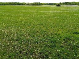 0 Sw 14 & Se 15-23-13w Road, Ste Rose Du Lac, MB R0L0S0 Photo 36