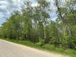 2 Saffie Road, Albert Beach, MB R0E2C0 Photo 6