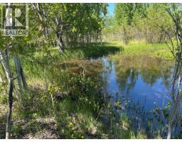 Storage - 11320 Smaaslet Road, Prince George, BC V2N5A7 Photo 10